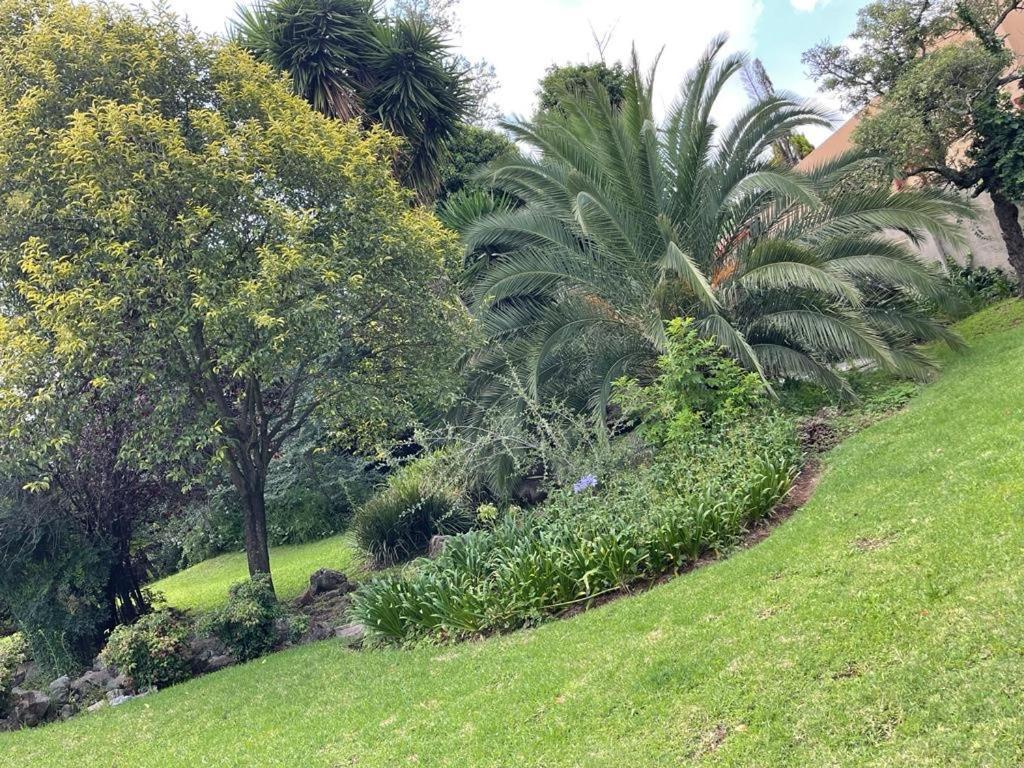 The South Way Panzió Johannesburg Kültér fotó